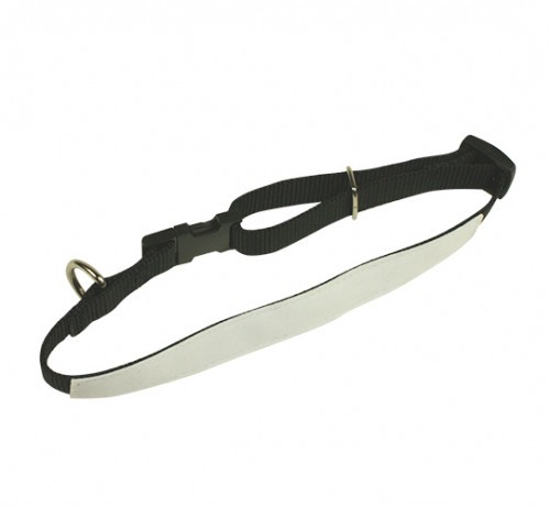 Tierhalsband 30 mm breit